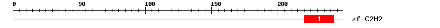 Signature Domain