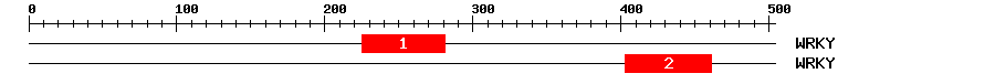 Signature Domain