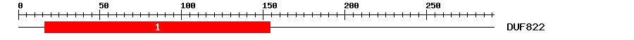 Signature Domain