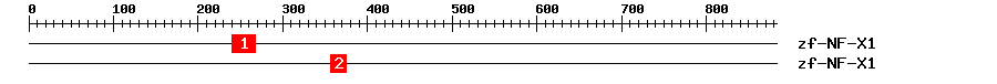 Signature Domain