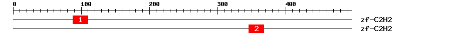 Signature Domain