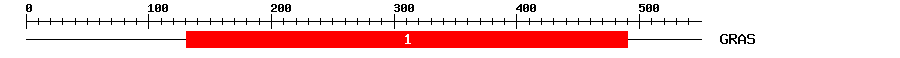 Signature Domain
