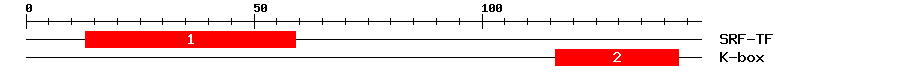 Signature Domain