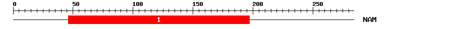 Signature Domain