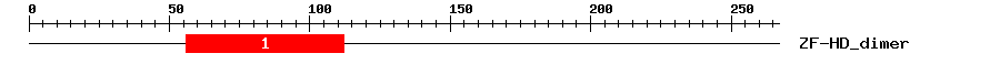 Signature Domain