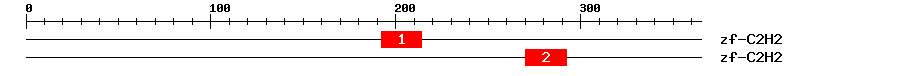 Signature Domain