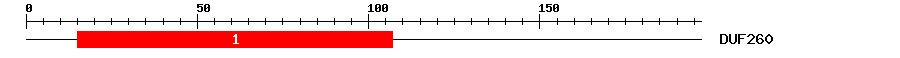 Signature Domain
