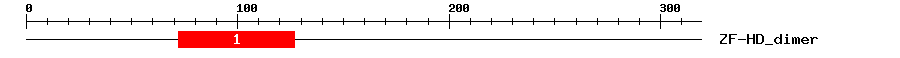 Signature Domain