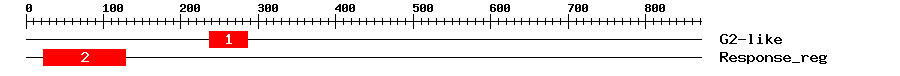 Signature Domain