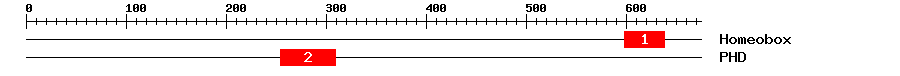 Signature Domain