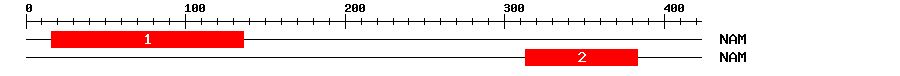 Signature Domain
