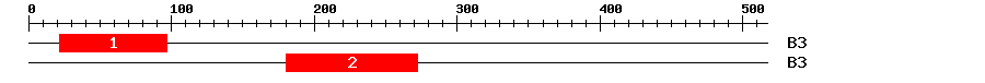 Signature Domain