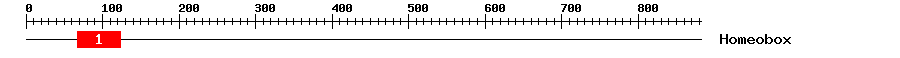 Signature Domain