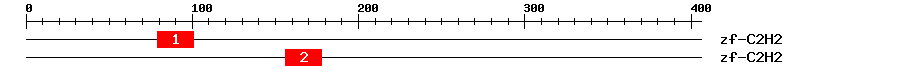 Signature Domain