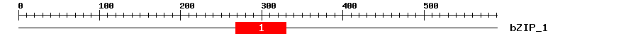 Signature Domain