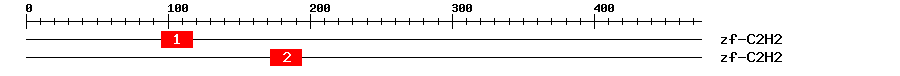 Signature Domain
