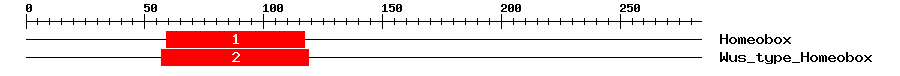 Signature Domain