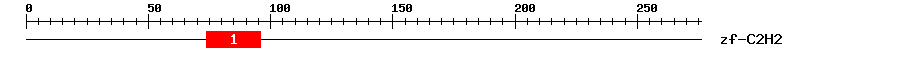 Signature Domain