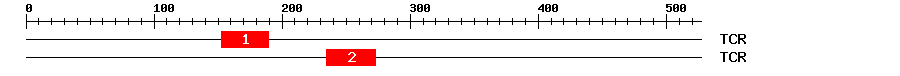 Signature Domain