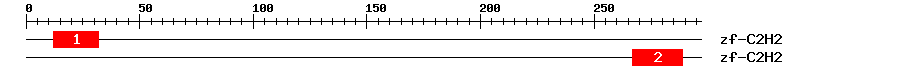 Signature Domain