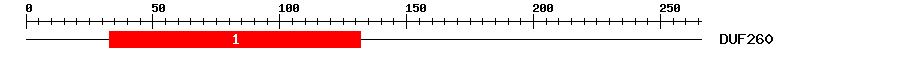 Signature Domain