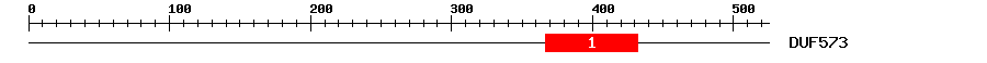 Signature Domain