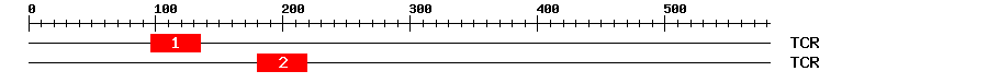 Signature Domain