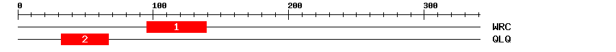 Signature Domain