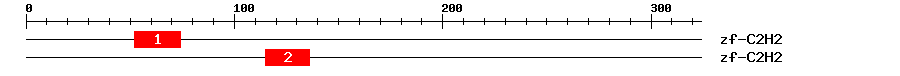 Signature Domain
