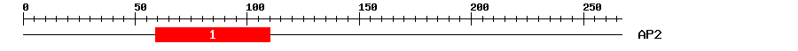 Signature Domain