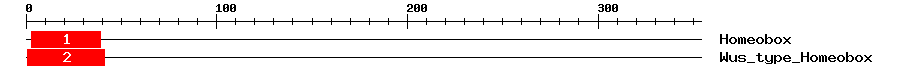 Signature Domain