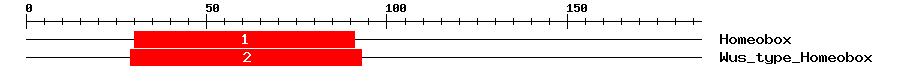 Signature Domain