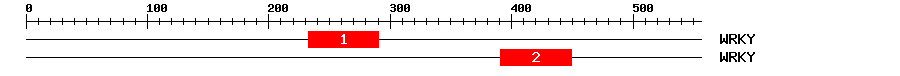 Signature Domain