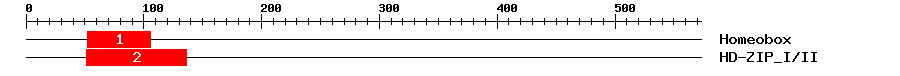 Signature Domain