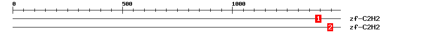 Signature Domain