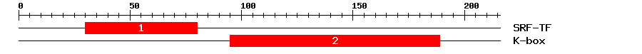 Signature Domain