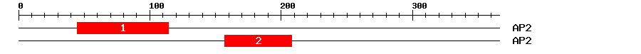 Signature Domain