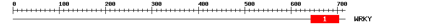 Signature Domain