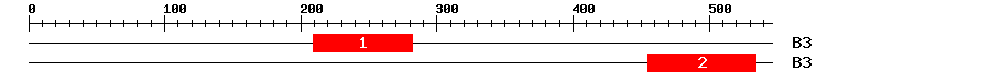 Signature Domain