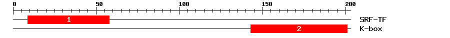 Signature Domain