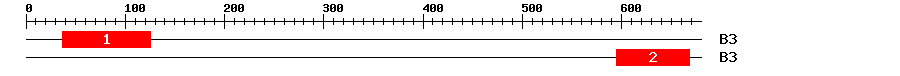 Signature Domain