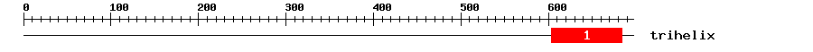 Signature Domain