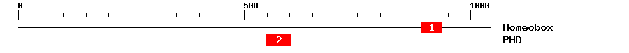Signature Domain