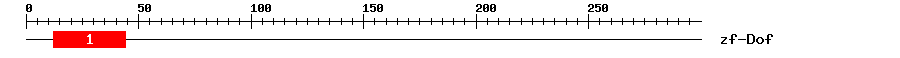 Signature Domain