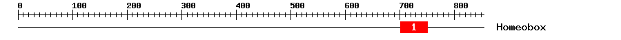 Signature Domain