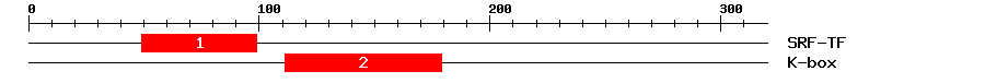 Signature Domain