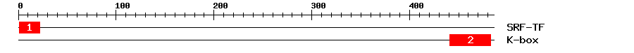 Signature Domain