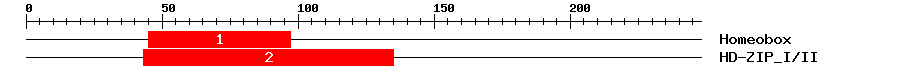 Signature Domain