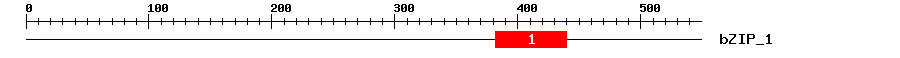 Signature Domain