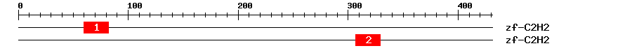 Signature Domain